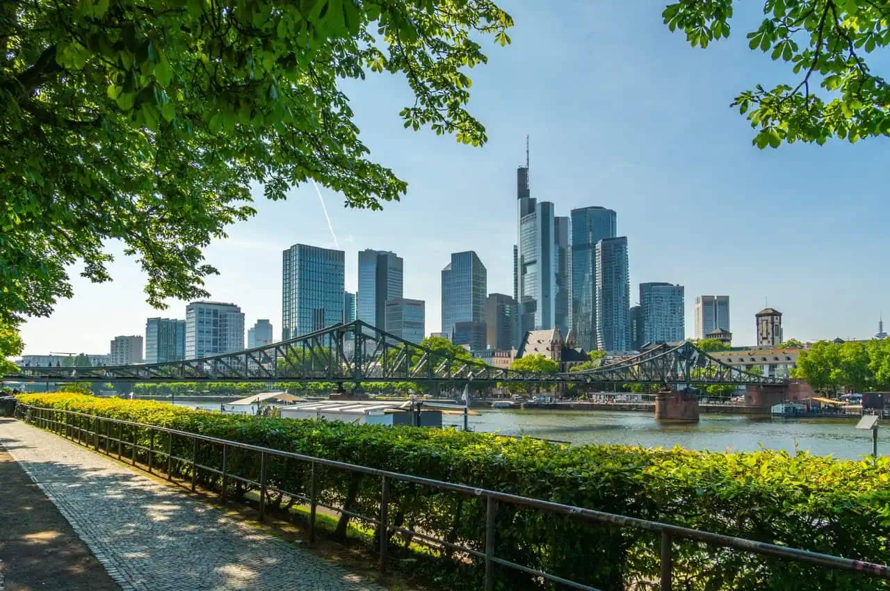 Frankfurt,City,Downtown,,Bridge,,Trees,Branches,And,Main,River,On